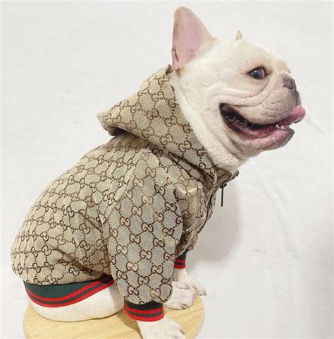 gucci pet heren sale|gucci designer dog clothing.